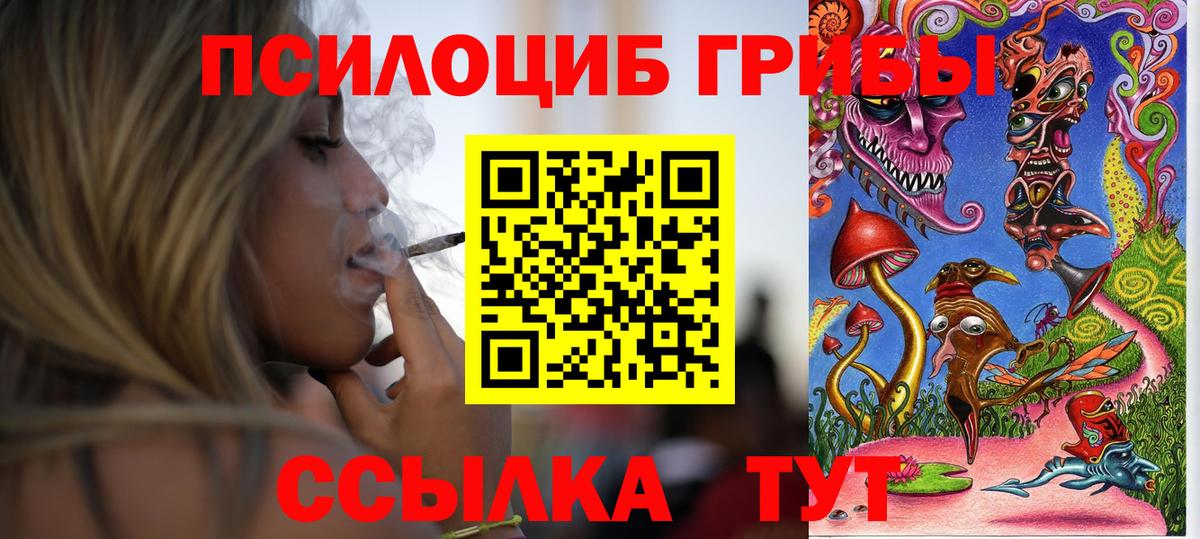 Коломна  Псилоцибиновые грибы Cubensis  Вход с VPN 